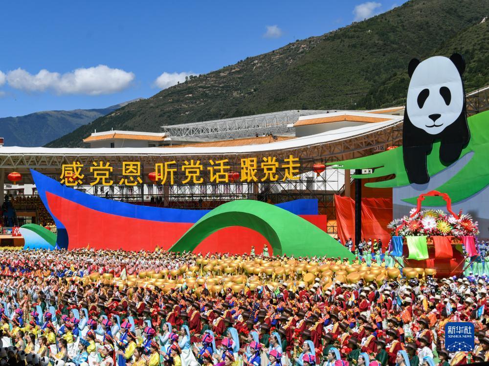 新宝6登录地址